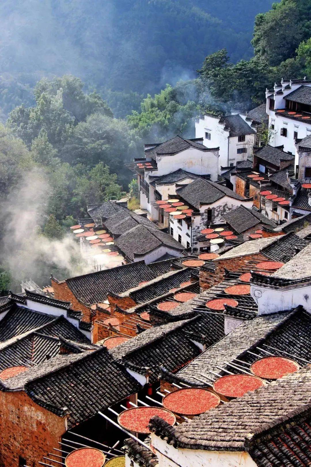 江西，美丽家园的深情呼唤