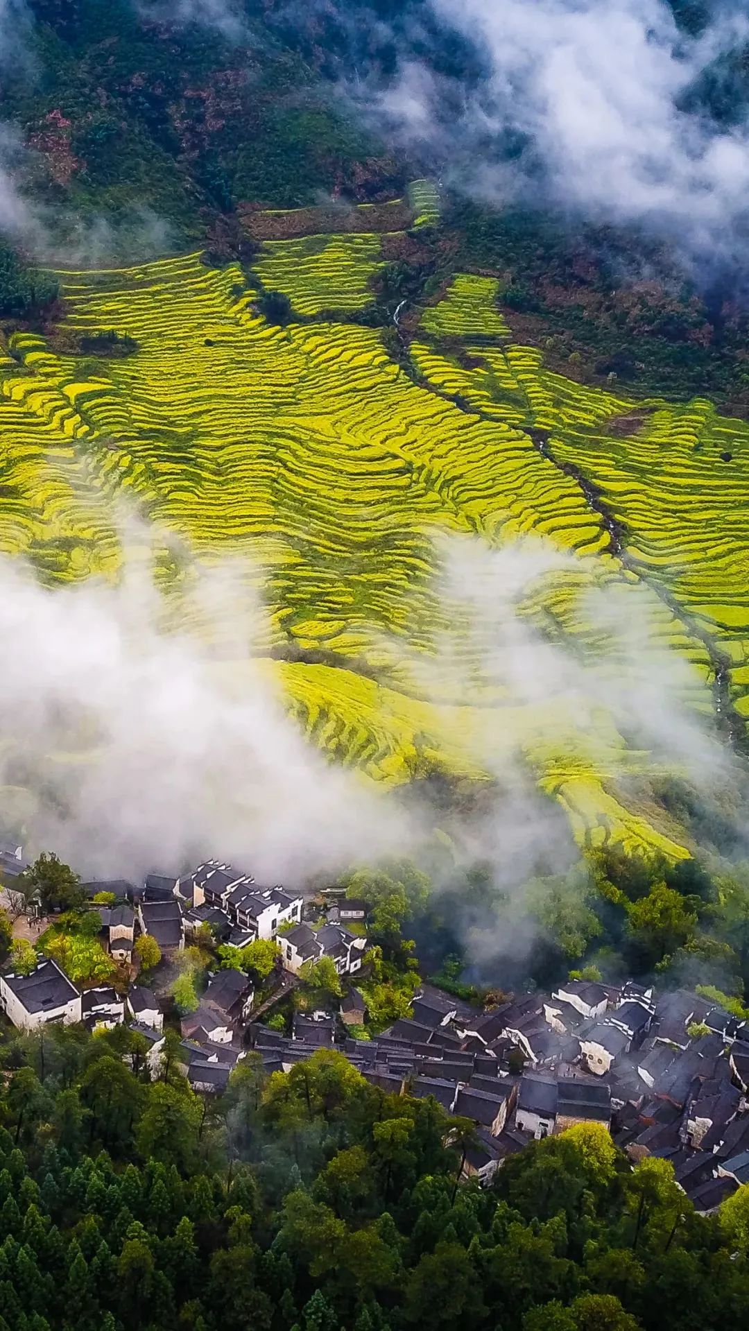 江西,美丽家园的深情呼唤